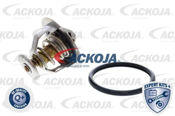 Thermostat, coolant