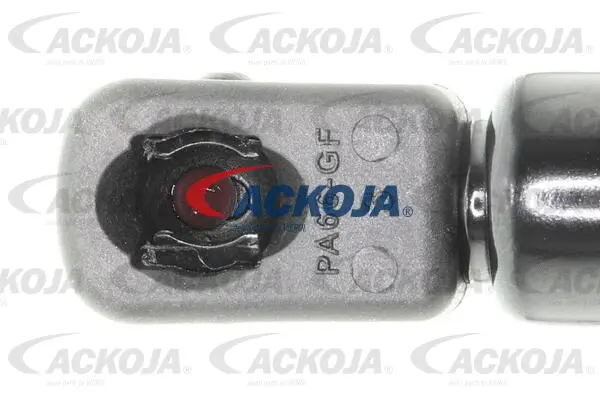 Gas Spring, boot/cargo area