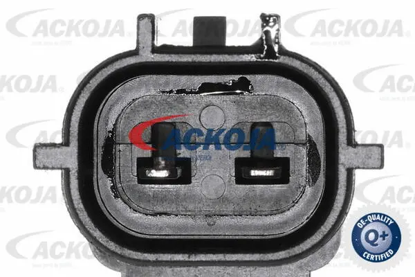 Control Valve, camshaft adjustment