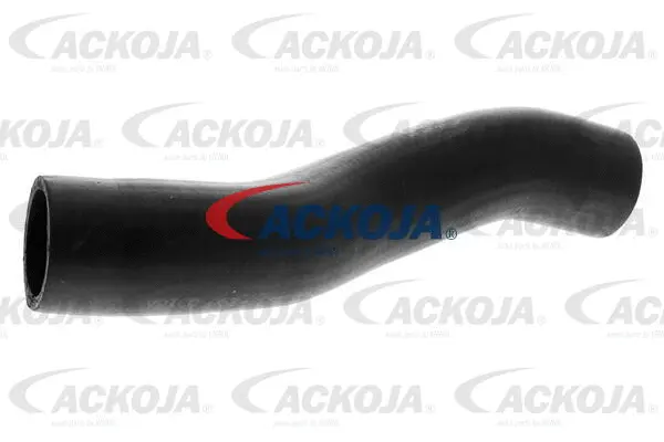 Charge Air Hose
