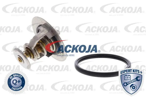Thermostat, coolant