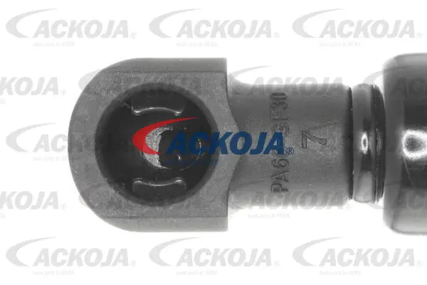 Gas Spring, boot/cargo area