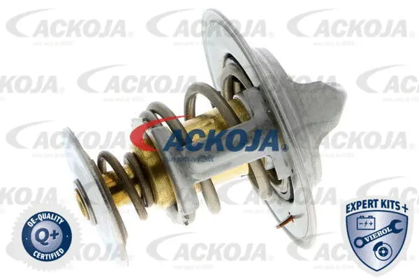 Thermostat, coolant