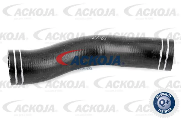 Charge Air Hose