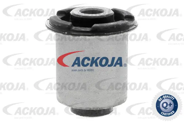 Mounting, control/trailing arm