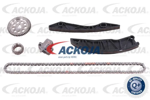 Timing Chain Kit