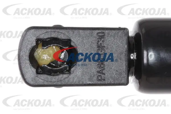 Gas Spring, boot/cargo area