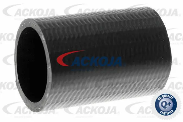 Charge Air Hose