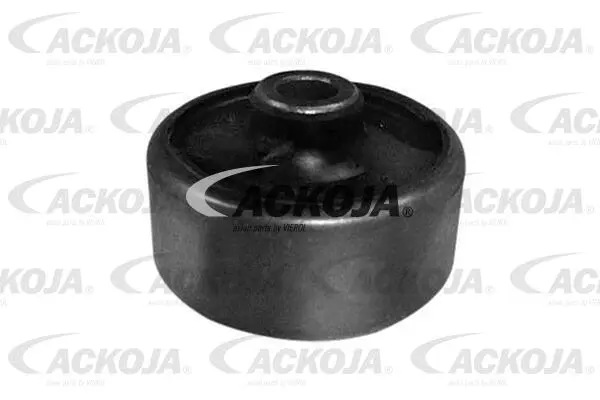 Mounting, control/trailing arm