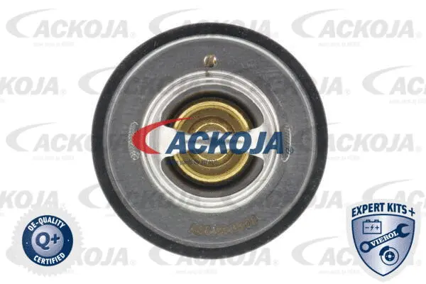 Thermostat, coolant