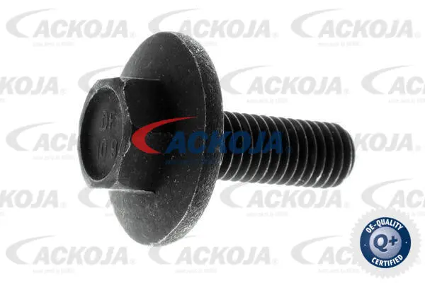 Camshaft Adjuster