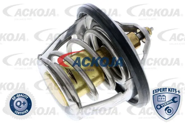 Thermostat, coolant