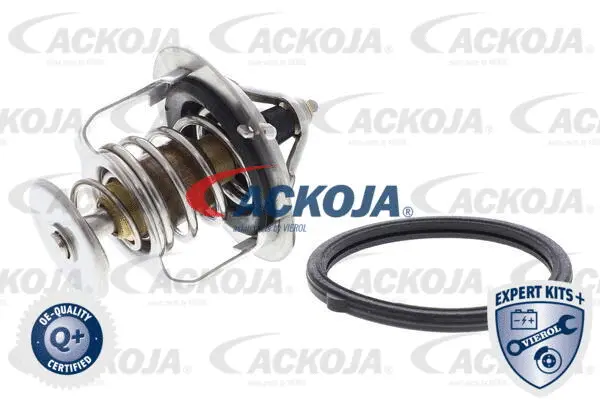 Thermostat, coolant