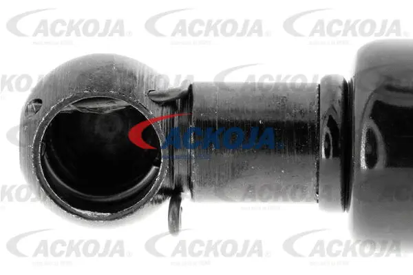 Gas Spring, boot/cargo area