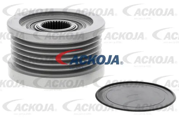 Alternator Freewheel Clutch