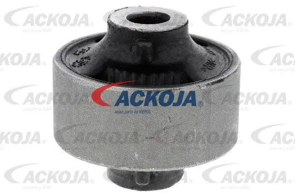 Mounting, control/trailing arm