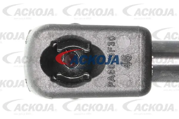 Gas Spring, boot/cargo area