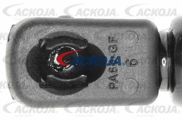 Gas Spring, boot/cargo area