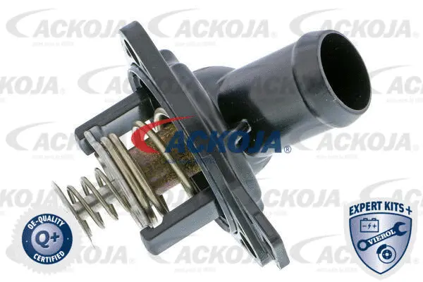 Thermostat, coolant