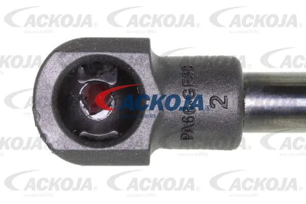 Gas Spring, boot/cargo area