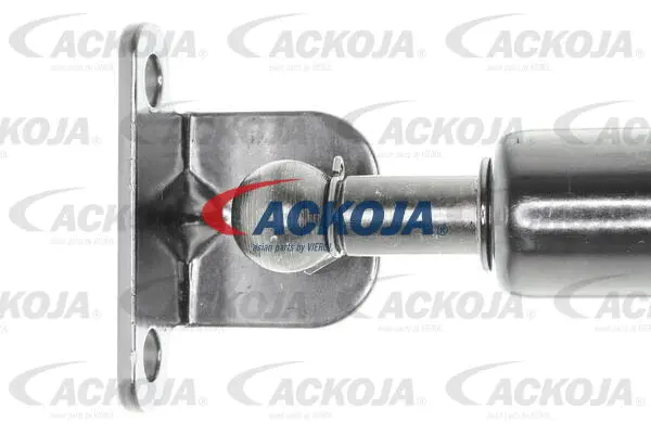 Gas Spring, boot/cargo area