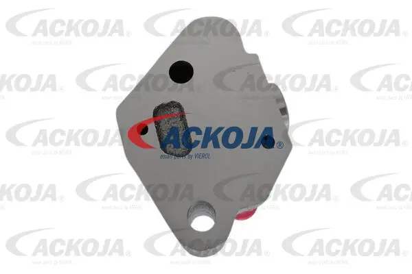 Tensioner, timing chain