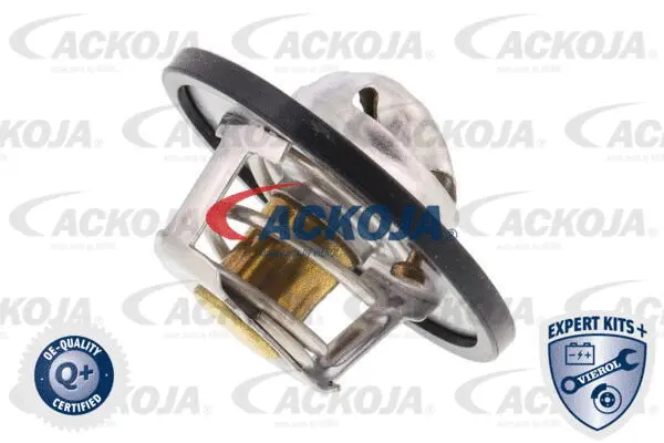 Thermostat, coolant