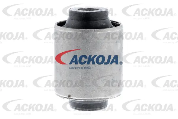 Mounting, control/trailing arm