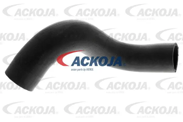 Charge Air Hose
