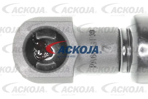 Gas Spring, boot/cargo area