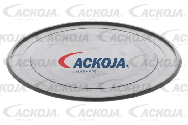 Alternator Freewheel Clutch