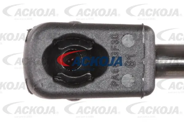 Gas Spring, boot/cargo area