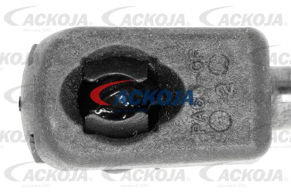 Gas Spring, boot/cargo area