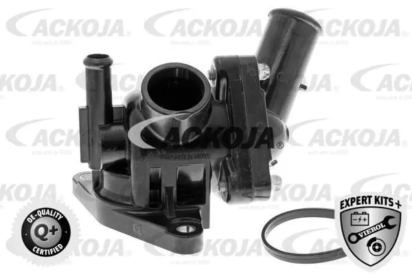 Thermostat, coolant