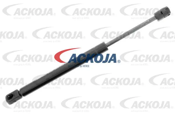Gas Spring, boot/cargo area