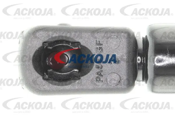 Gas Spring, boot/cargo area