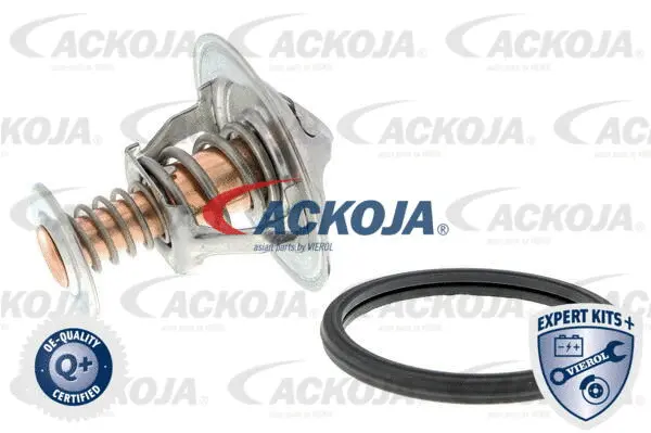Thermostat, coolant