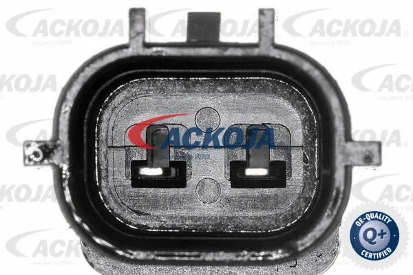 Control Valve, camshaft adjustment