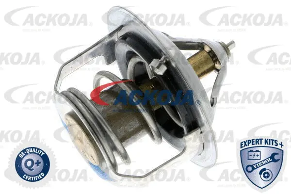 Thermostat, coolant