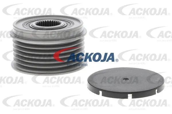 Alternator Freewheel Clutch