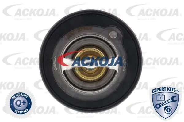 Thermostat, coolant