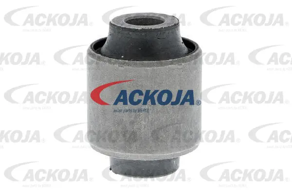 Mounting, control/trailing arm