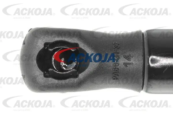 Gas Spring, boot/cargo area