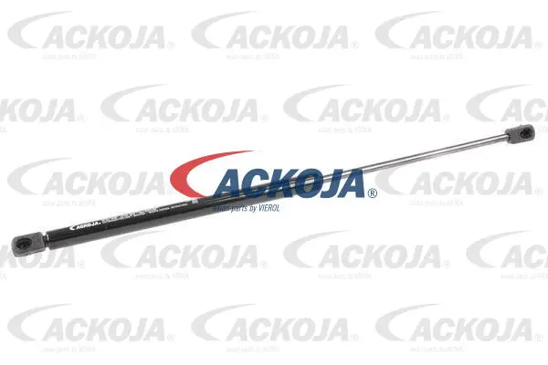 Gas Spring, boot/cargo area