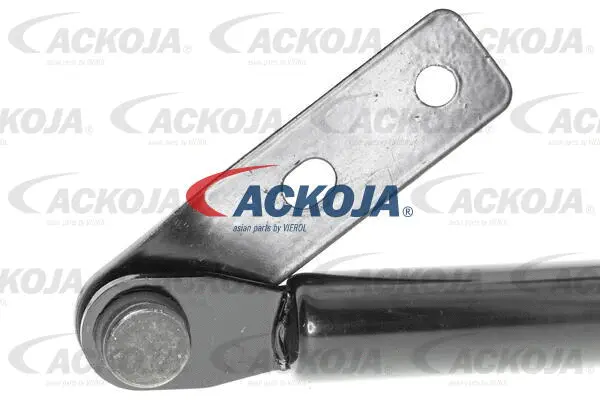 Gas Spring, boot/cargo area