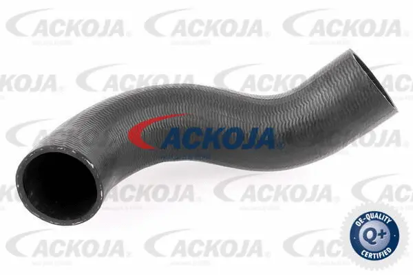 Charge Air Hose
