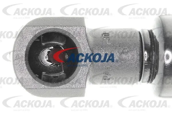 Gas Spring, boot/cargo area