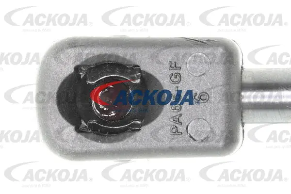 Gas Spring, boot/cargo area