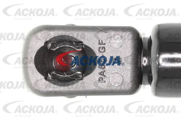 Gas Spring, boot/cargo area