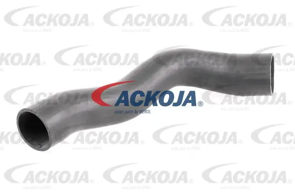 Charge Air Hose